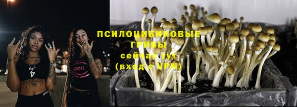 соль ск Кодинск