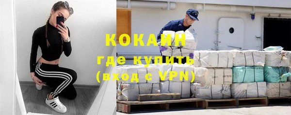 стафф Козловка