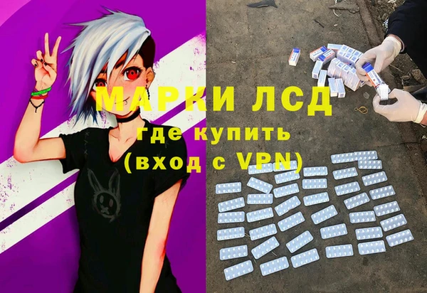 стафф Козловка