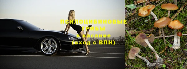 тгк Козельск
