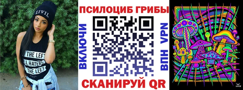 Купить закладки  Губкин  Псилоцибиновые грибы мухоморы 